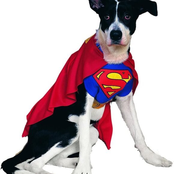 DC Comics Pet Costume Superman Medium - Picture 3 of 6